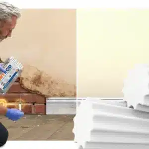 dryrod bemutato.webp